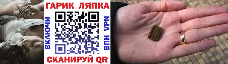 блэк спрут как войти  где найти наркотики  Гай  Гашиш индика сатива 