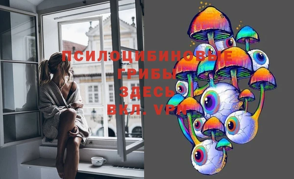 соль ск Балахна